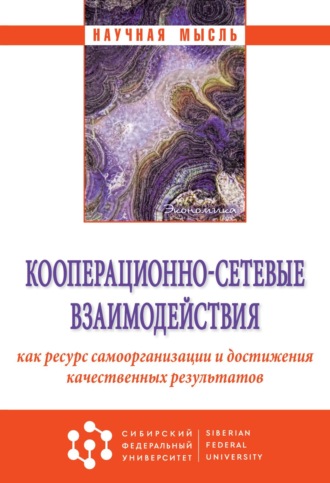 Андрей Владимирович Волошин. Кооперационно-сетевые взаимодействия как ресурс самоорганизации и достижения качественных результатов