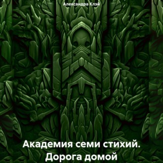 Обложка книги «Академия семи стихий. Дорога домой»