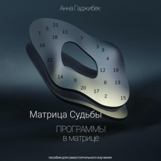 Обложка книги «Матрица Судьбы. Программы в матрице»