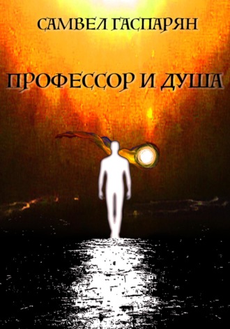 Обложка книги «Профессор и Душа»