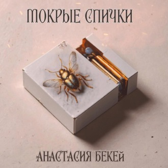 Обложка книги «Мокрые спички»