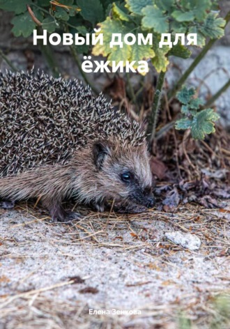Обложка книги «Новый дом для ёжика»