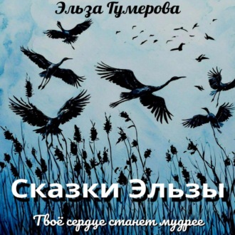 Обложка книги «Сказки Эльзы»