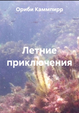 Обложка книги «Летние приключения»