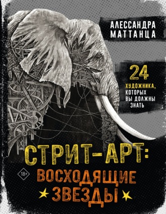 Обложка книги «Стрит-арт: восходящие звезды»