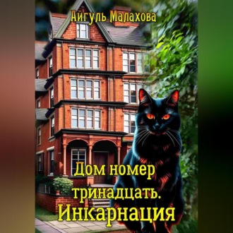 Обложка книги «Дом номер тринадцать. Инкарнация»