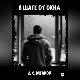 Обложка книги «В шаге от окна»