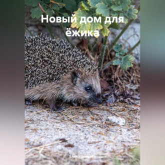 Обложка книги «Новый дом для ёжика»