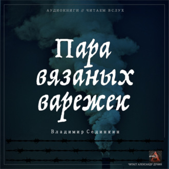 Обложка книги «Пара вязаных варежек»