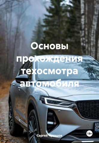 Сергей Юрьевич Чувашов. Основы прохождения техосмотра автомобиля