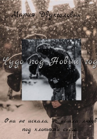 Обложка книги «Чудо под Новый год»