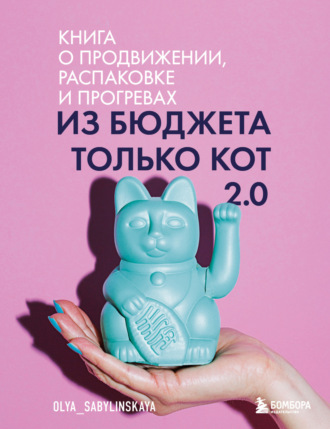 Обложка книги «Из бюджета только кот 2.0»