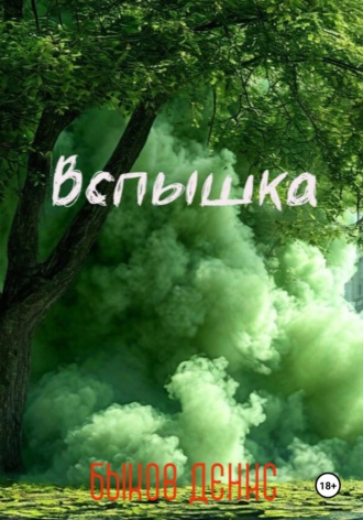 Обложка книги «Вспышка»