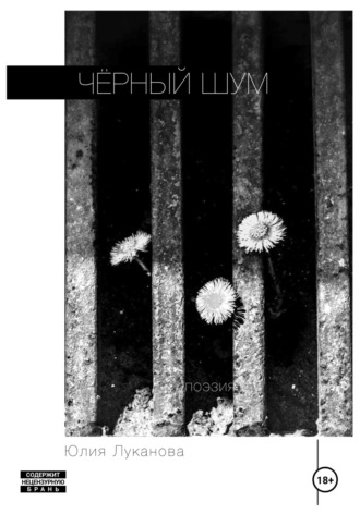 Обложка книги «Чёрный шум»