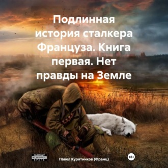 Обложка книги «Подлинная история сталкера Француза. Книга первая. Нет правды на Земле»