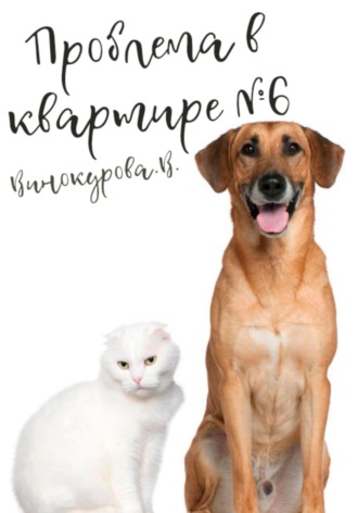 Обложка книги «Проблема в квартире 6»