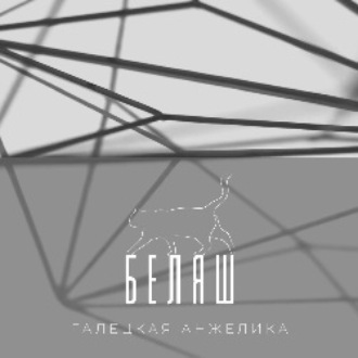 Обложка книги «Беляш»