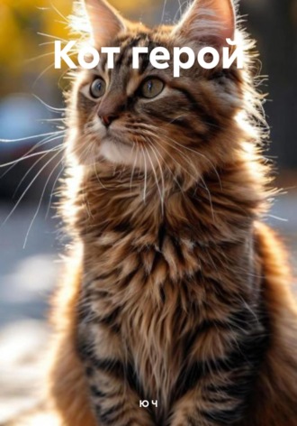 Кот герой. 