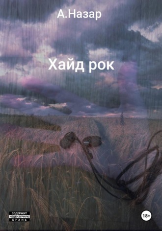 Обложка книги «Хайд рок»