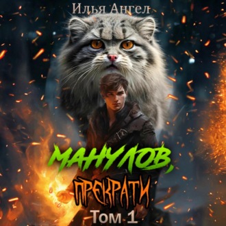 Обложка книги «Манулов, прекрати!»
