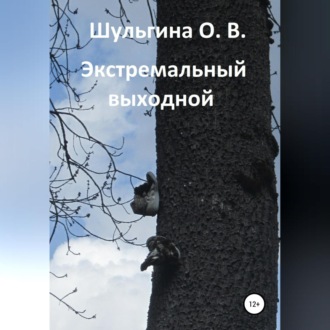 Обложка книги «Экстремальный выходной»