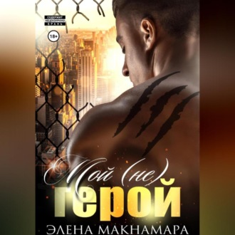 Обложка книги «Мой (не) герой»