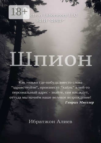 Обложка книги «Шпион. Повесть»