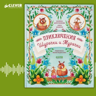 Обложка книги «Приключения Шурочки и Мурочки»