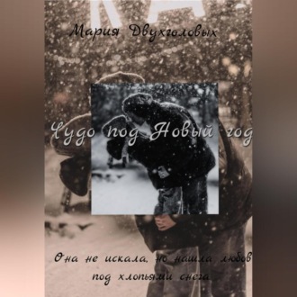 Обложка книги «Чудо под Новый год»