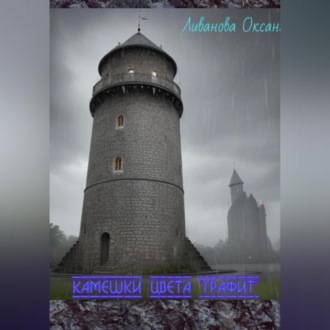Обложка книги «Камешки цвета «графит»»