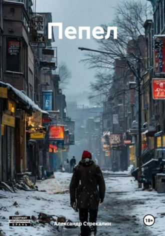 Обложка книги «Пепел»