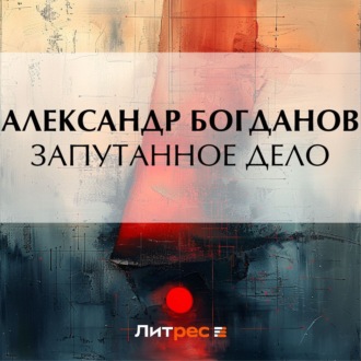 Обложка книги «Запутанное дело»