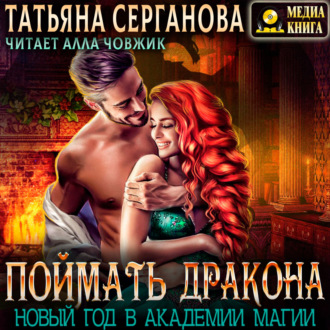 Обложка книги «Поймать дракона. Новый год в Академии»
