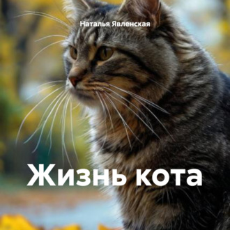 Обложка книги «Жизнь кота»