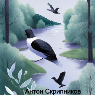 Обложка книги «Городской голубь»