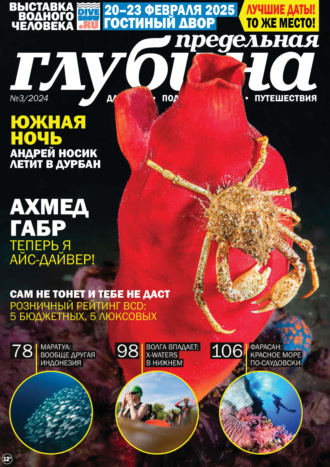 Обложка книги «Предельная Глубина №3/2024»