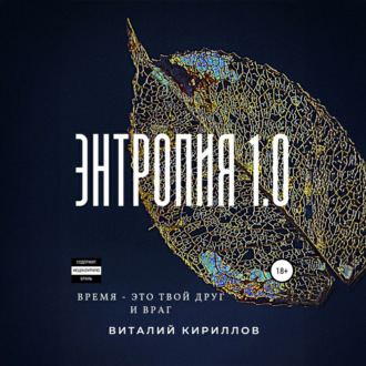 Обложка книги «Энтропия 1.0»