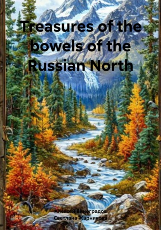 Обложка книги «Treasures of the bowels of the Russian North»