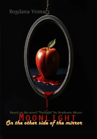 Обложка книги «Moonlight. On the other side of the mirror»