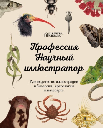 Обложка книги «Профессия – Научный иллюстратор. Руководство по иллюстрации в биологии, археологии и палеоарте»