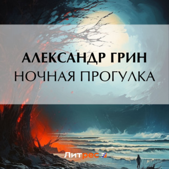 Обложка книги «Ночная прогулка»