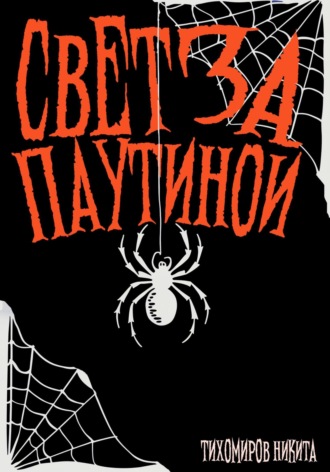 Обложка книги «Свет за паутиной»