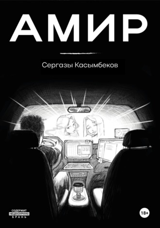 Обложка книги «Амир»