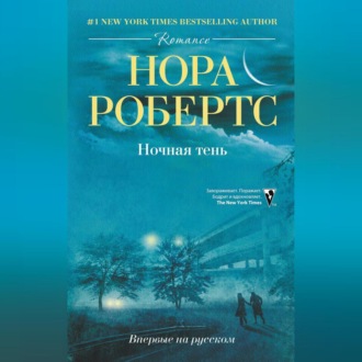Обложка книги «Ночная тень»
