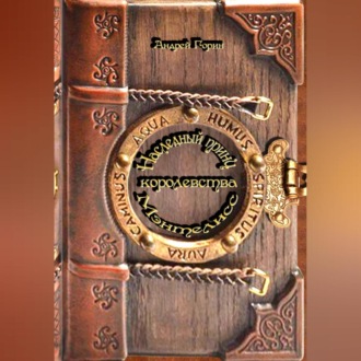 Обложка книги ««Наследный принц королевства Мэнтелисс» книга первая «Город камнетесов»»