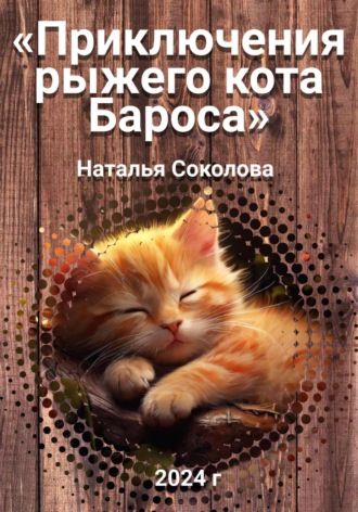 Обложка книги «Приключения рыжего кота Бароса»