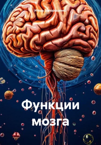 Обложка книги «Функции мозга»
