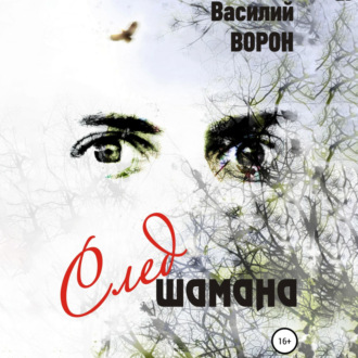 Обложка книги «След шамана»