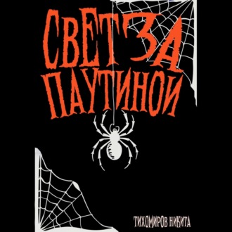 Обложка книги «Свет за паутиной»