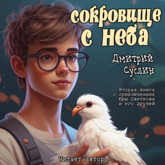 Обложка книги «Сокровище с неба»